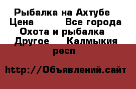 Рыбалка на Ахтубе › Цена ­ 500 - Все города Охота и рыбалка » Другое   . Калмыкия респ.